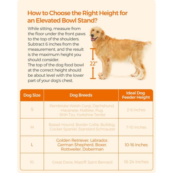 Tilton Sorrell Pet Elevated Feeder